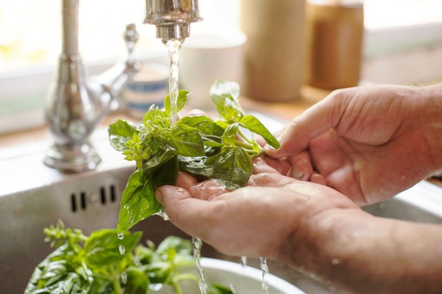A close-up image of a person washing herbs in the kitchen sink