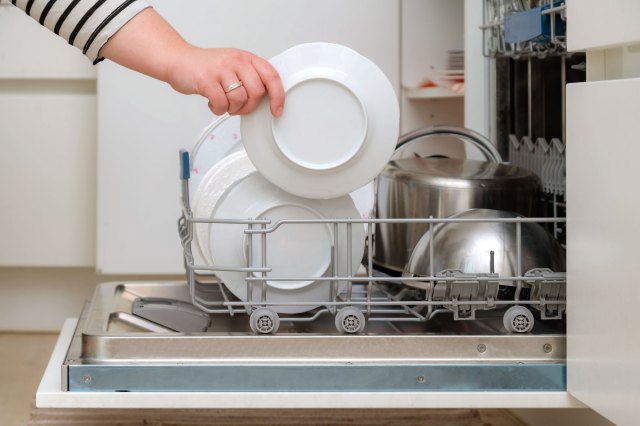 A person loads a dish into the dishwasher
