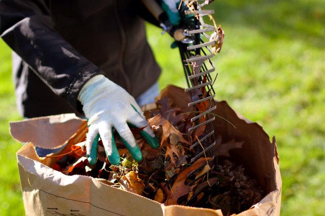 An image of a person putting leaves into a brown bag