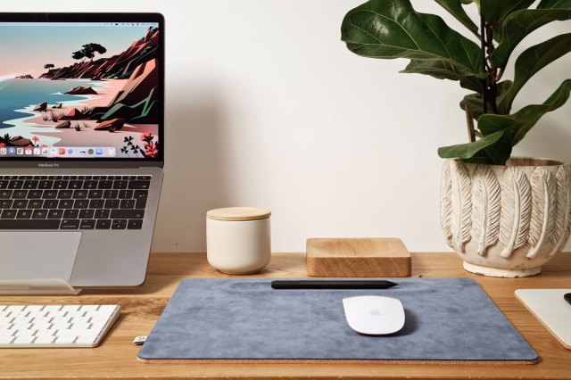 An image of a computer, a keyboard, 
a mouse, a mouse pad, and a plant on a desk