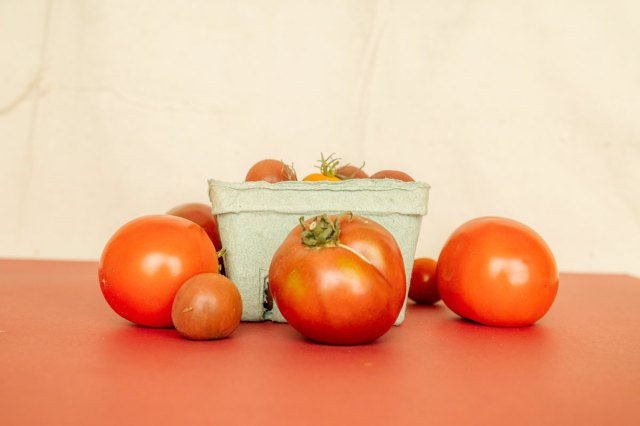 An image of a carton of tomatoes surrounded by tomatoes