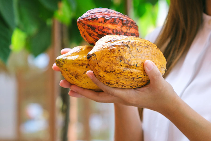 An image of a woman holding three cacao beans