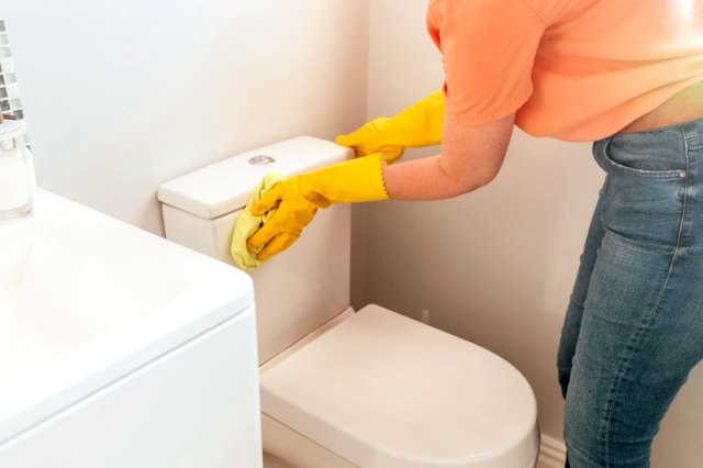 An image of a woman wiping down a toilet