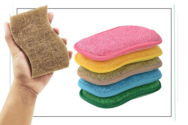 An image of sustainable sponges