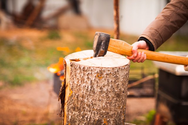 An image of a person chopping a tree stump with an ax