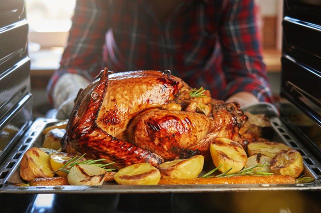 An image of a person pulling out a cooked turkey from the oven