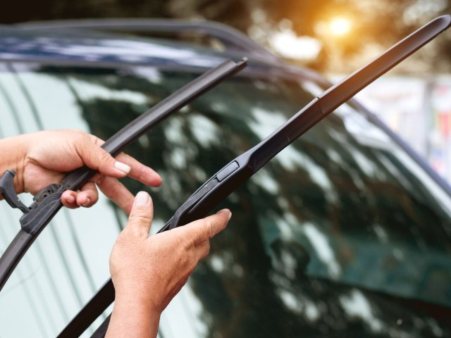 An image of a person holding two windshield washers