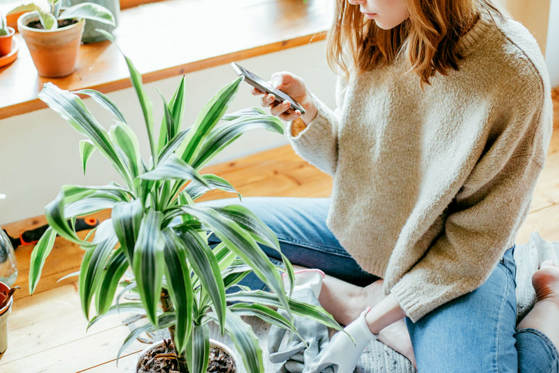 An image of a woman sitting on the floor on a phone next to a plant