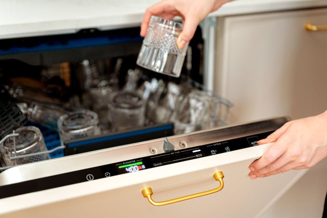 An image of a person putting a dish into the dishwasher