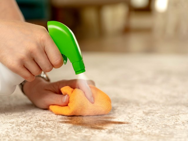 An image of a person spraying a counter with an orange rag