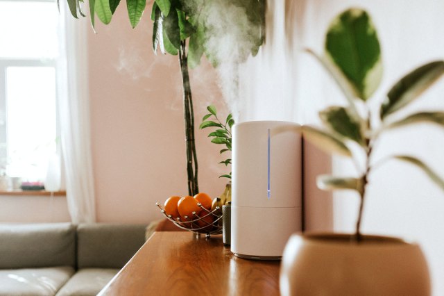 An image of a humidifier on a table with small plants