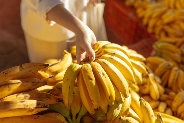 An image of bunches of a woman picking a bunch of bananas