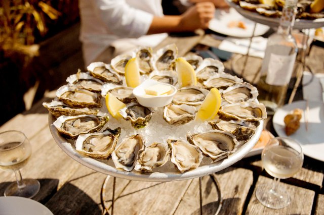 An image of oysters on a tray with ice