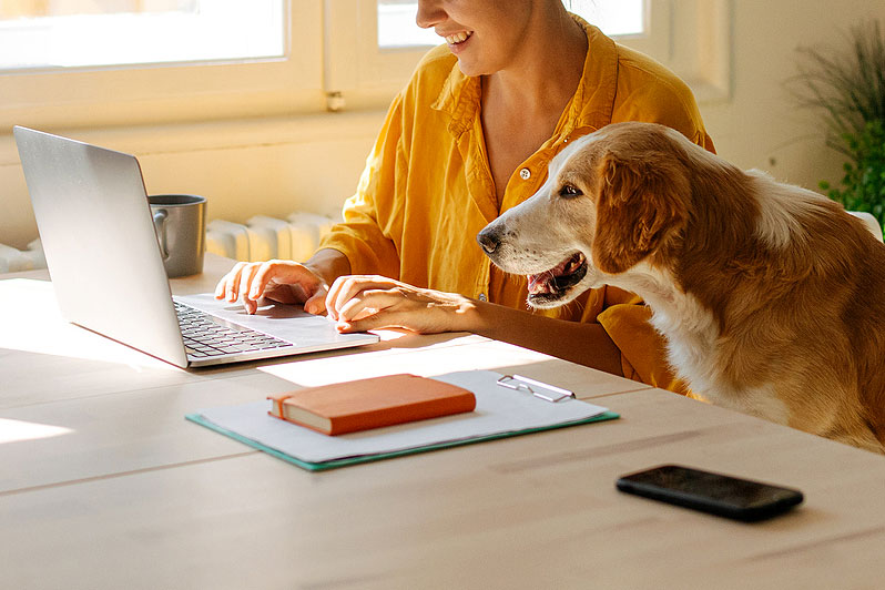 An image of a woman typing on a laptop with a dog next to her