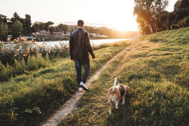 An image of a man walking a dog at sunset