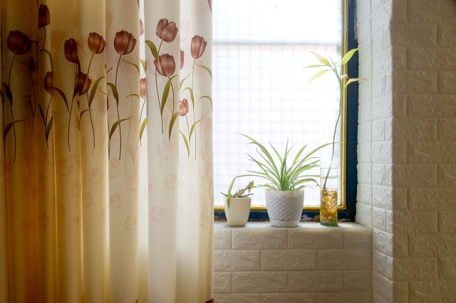 An image of a bathroom with a floral shower curtain and plants on a windowsill 