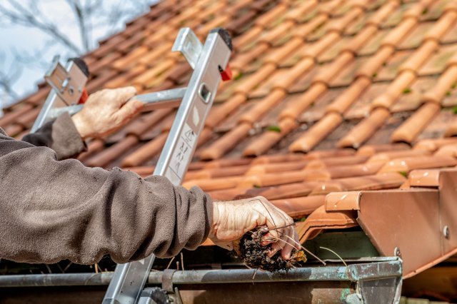 An image of a man on a ladder cleaning home gutters
