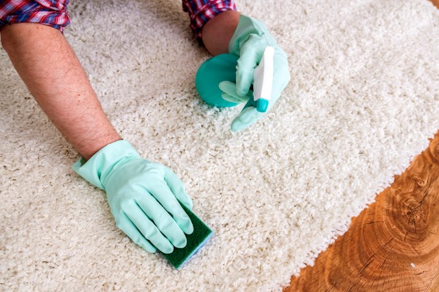 An image of a person wearing rubber gloves, holding a spray bottle, and scrubbing a carpet with a sponge