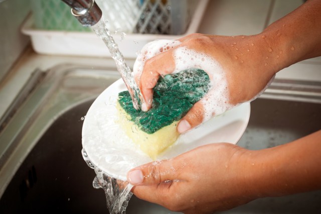An image of a person scrubbing a white dish with a sponge