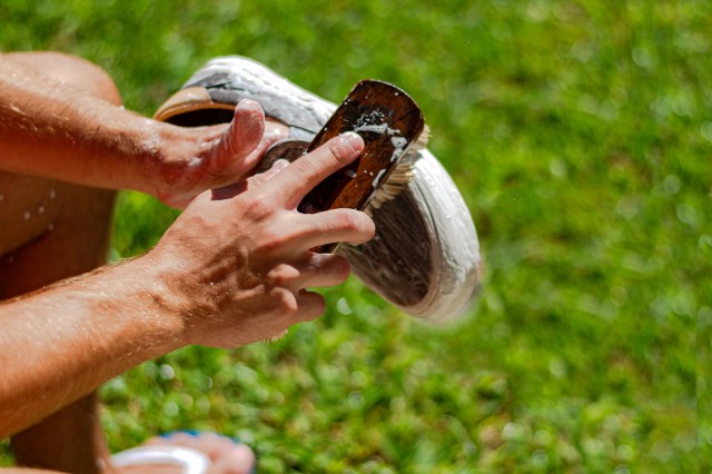 An image of a person cleaning a shoe with a brush