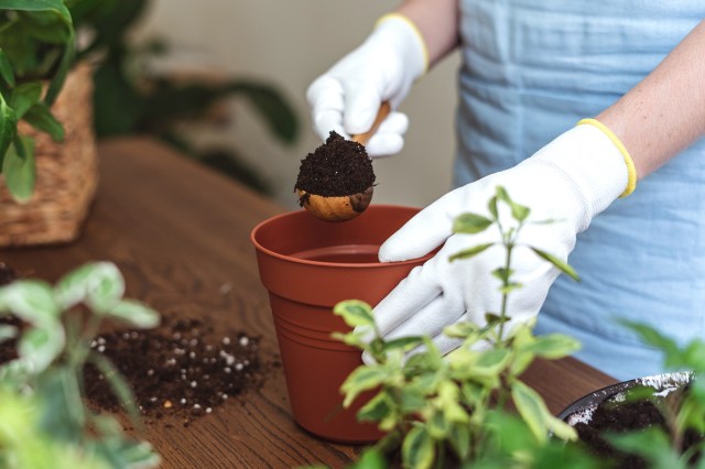 Gloved hands putting soil into a flowerpot