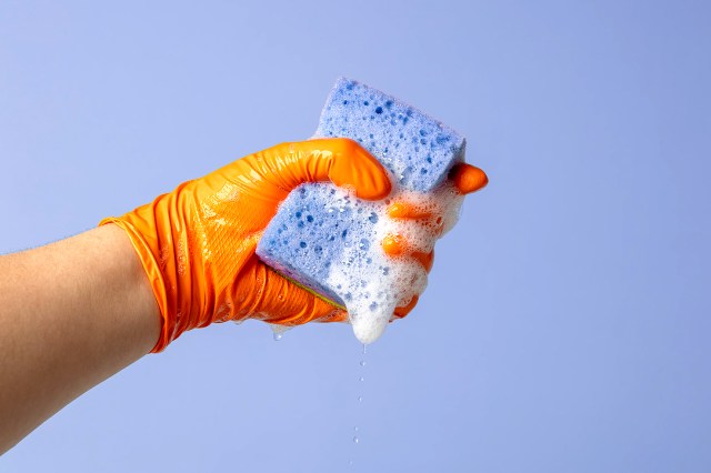 An image of a hand wearing an orange rubber glove squeezing a soapy blue spongs