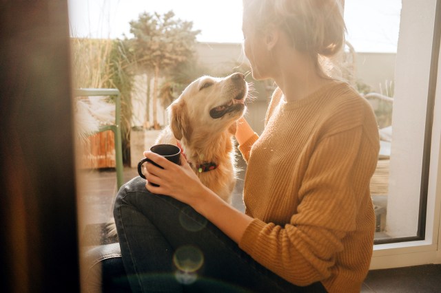 An image of a woman and a dog sitting by a window