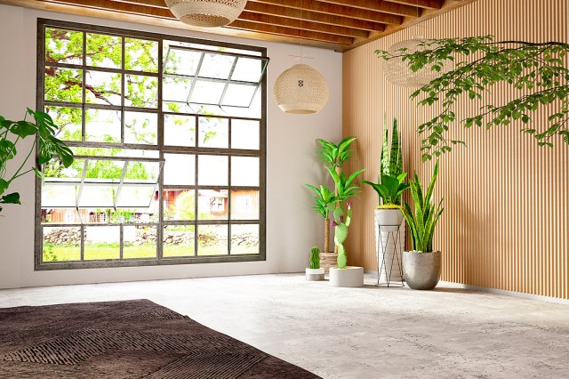 An image of a sunny room with a large window and plants