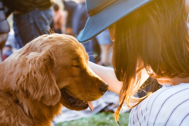 An image of a woman petting a golden retriever 