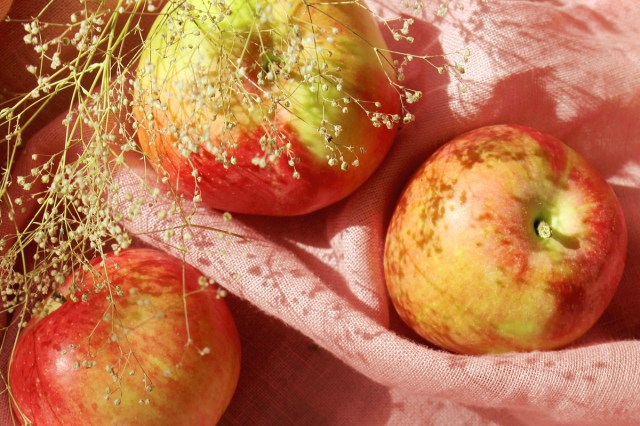 An image of apples