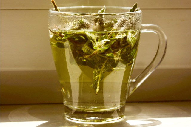 An image of a mug of mint tea