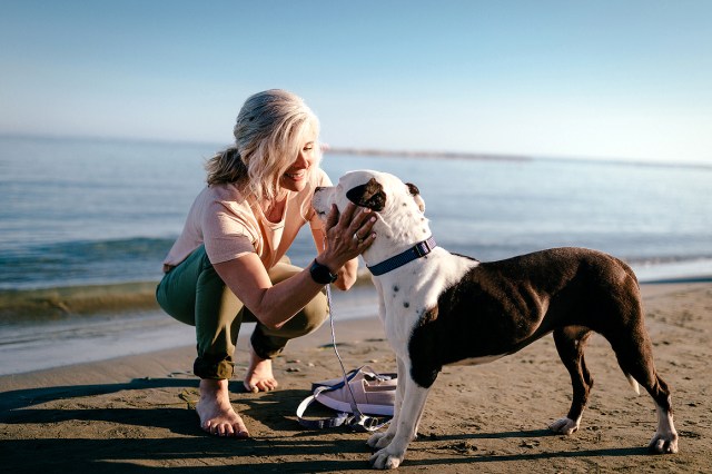 An image of a woman and a dog on a beach