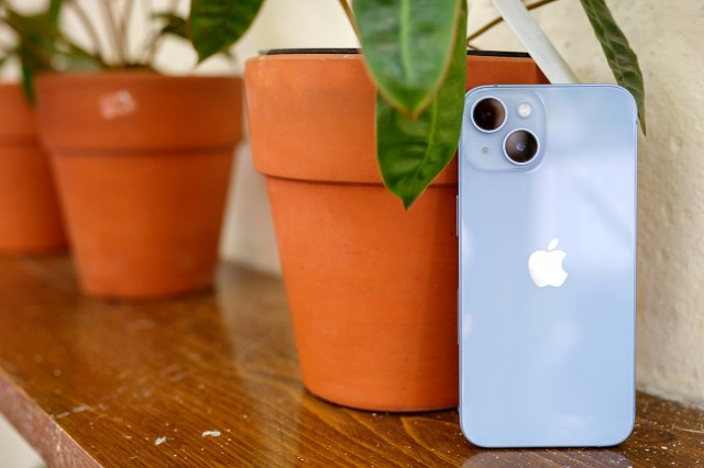 An image of a light blue iPhone resting against a potted plant