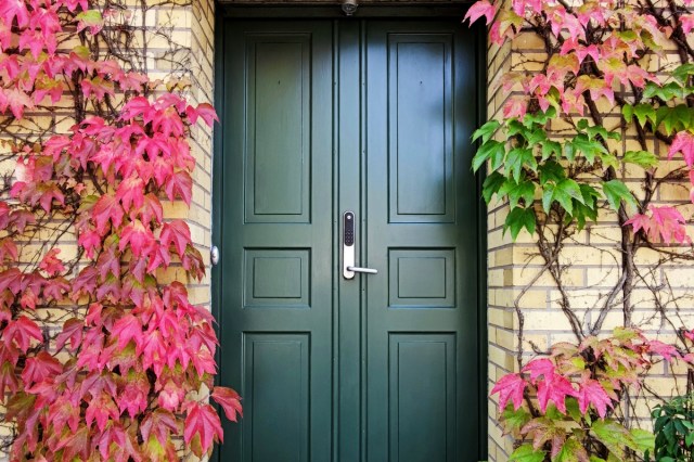 An image of a green front door surrounded by trees with red and green leaves