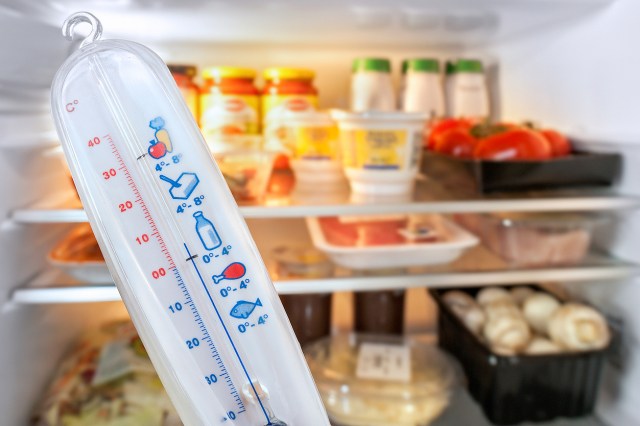 An image of a thermometer in front of a fridge