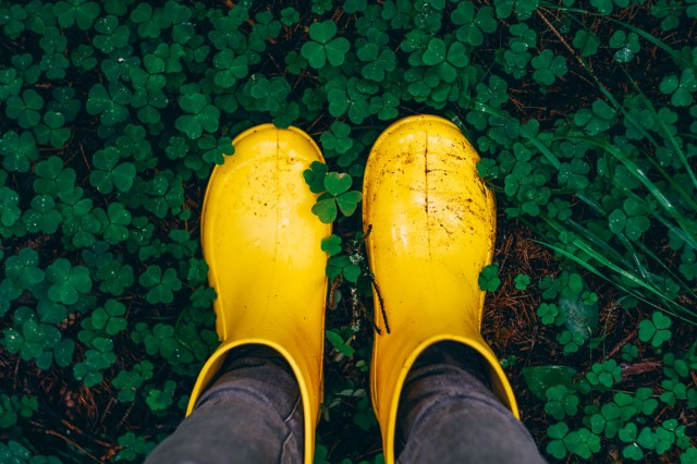 A close-up image of a person wearing yellow rain boots in a patch of clovers