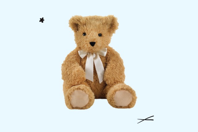 An image of a teddy bear