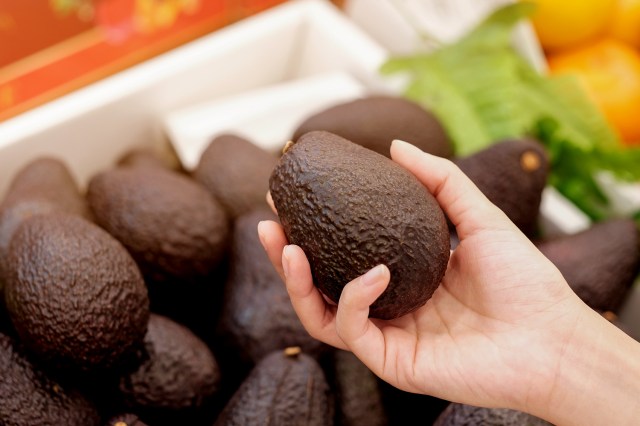 An image of a person holding an avocado with a bin of avocados in the background