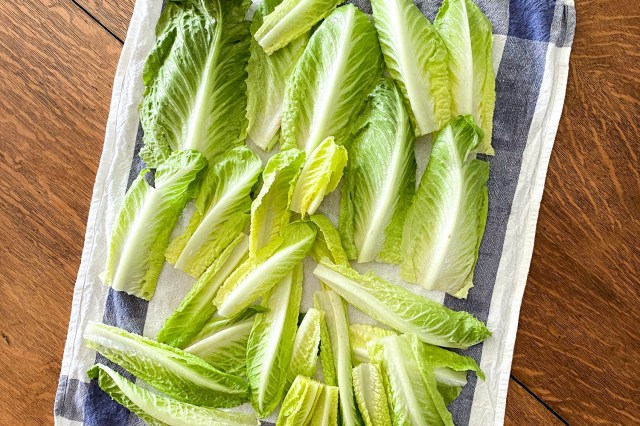 An image of romaine lettuce on a kitchen towel