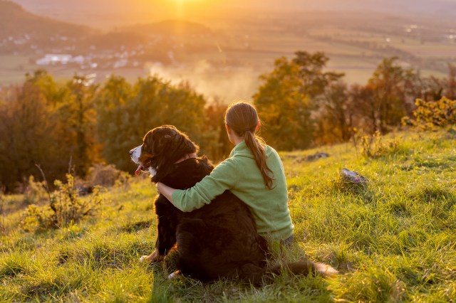 An image of a woman and a dog sitting on a hill overlooking the sunset