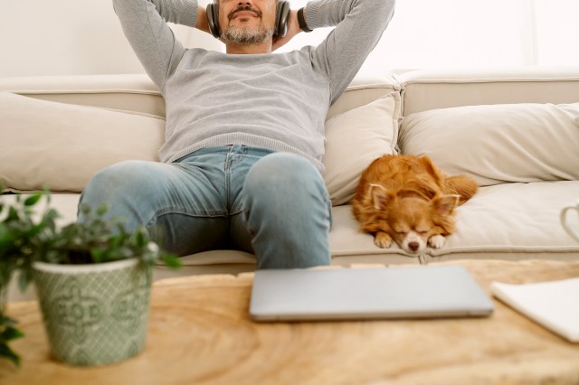 An image of a man relaxing on the couch with a dog