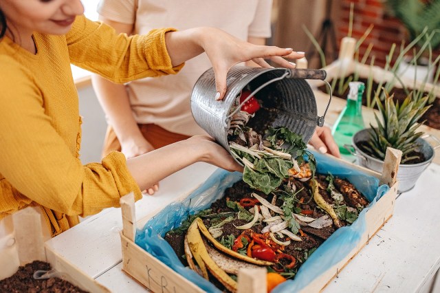 An image of a person dumping food scraps into a compost