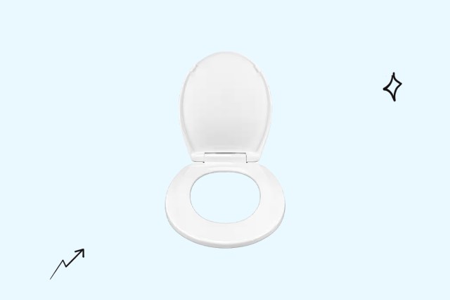 An image of a white toilet seat