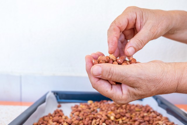 An image of person with mixed nuts in the hand