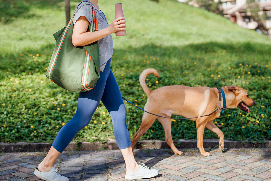 An image of a woman walking a dog