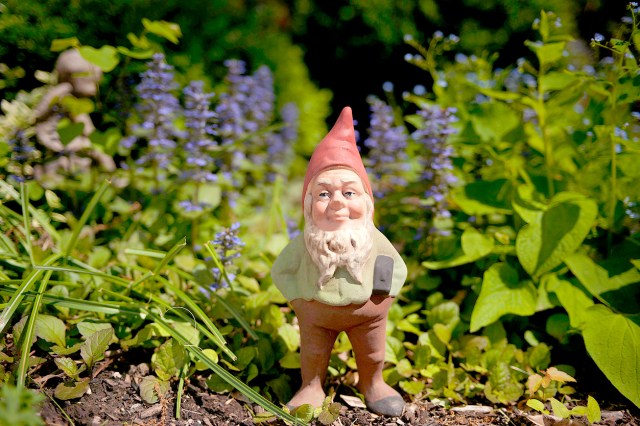 An image of a lawn gnome