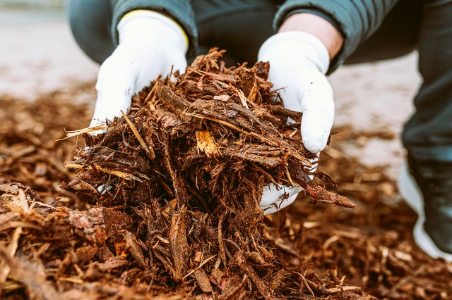 An image of a person holding mulch