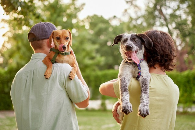 An image of two men holding dogs