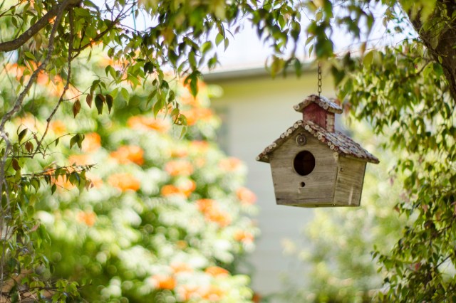 An image of a birdhouse hanging from a tree