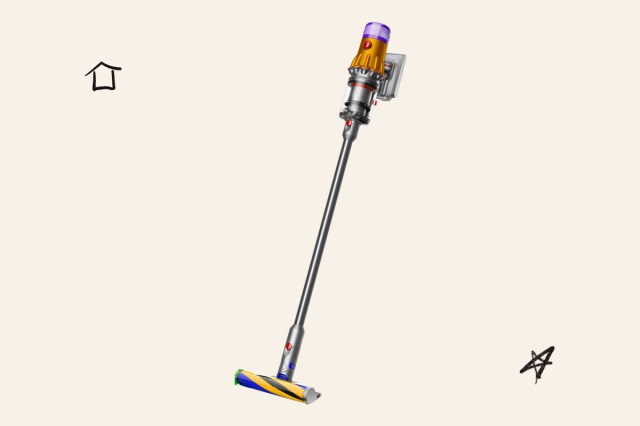 Image of Dyson V12 Detect Slim vaccuum